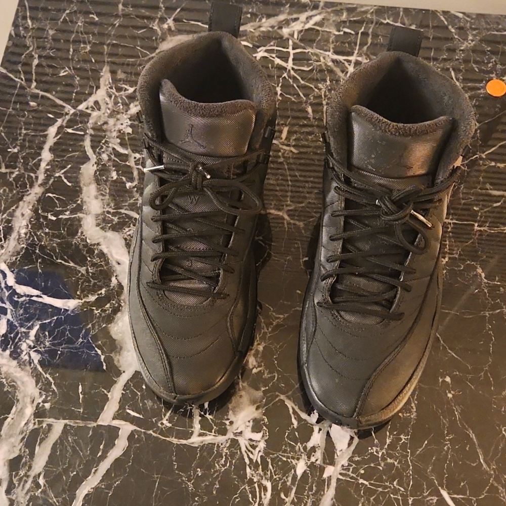Jordan 12 black winter